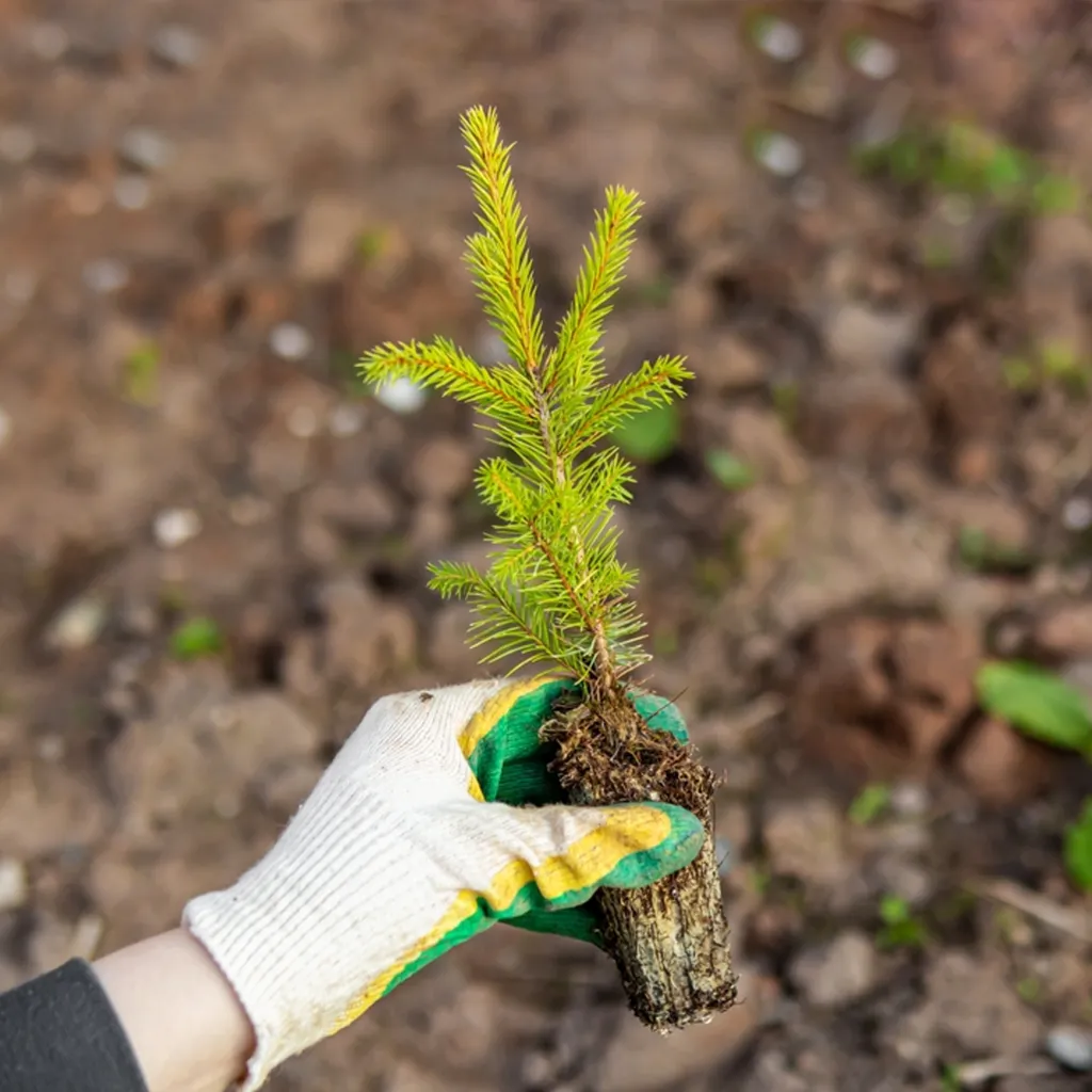 Зелёная акция