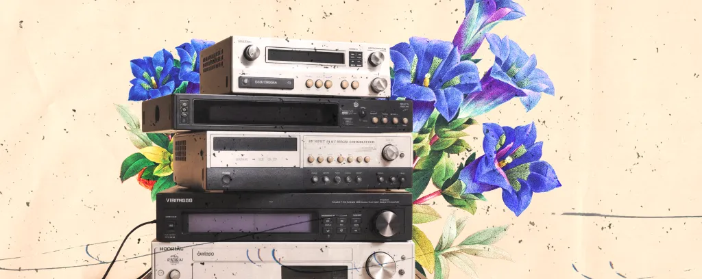 День видеомагнитофона