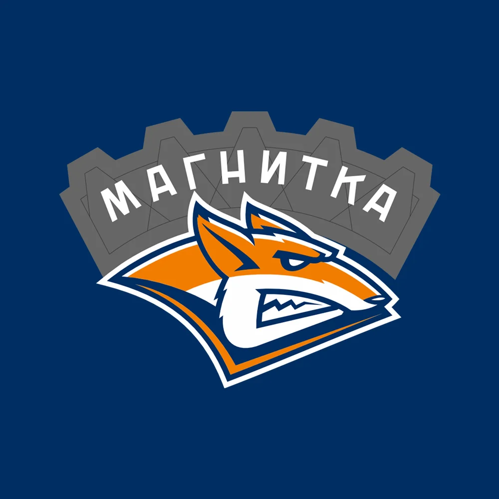 Трансляция хоккейного матча