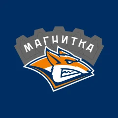 Трансляция хоккейного матча