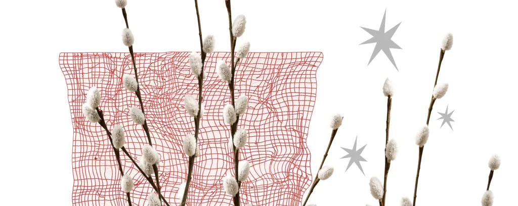 Вербное воскресенье