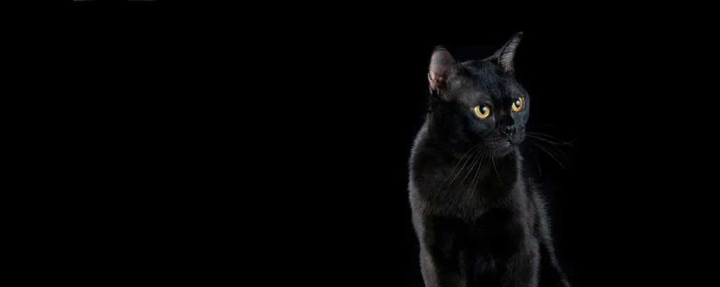 Спектакль «Ежегодная ярмарка Мэри Крэмболл»