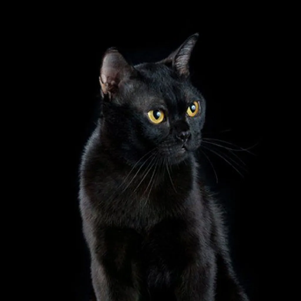 Спектакль «Ежегодная ярмарка Мэри Крэмболл»