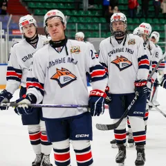 Трансляция выездного хоккейного матча